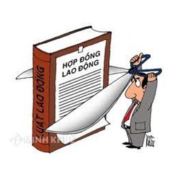 Chấm dứt hợp đồng với lao động nữ nuôi con dưới 12 tháng tuổi?