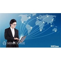 Người nước ngoài có được thành lập công ty ở Việt Nam không ?