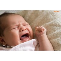 Quyền xin nuôi con không cần cấp dưỡng tại Tòa ? Giành quyền nuôi con với bạn trai ở nước ngoài ?