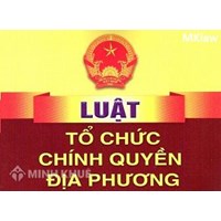 Tư vấn về tổ chức chính quyền địa phương theo quy định của pháp luật ?