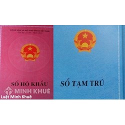 Thủ tục nhập khẩu cho cháu gái ruột ?