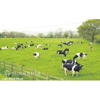 Vấn đề xây dựng trang trại trong khu dân cư phải đáp ứng điều kiện nào ?