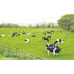 Vấn đề xây dựng trang trại trong khu dân cư phải đáp ứng điều kiện nào ?