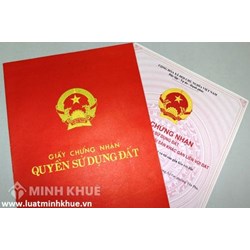 Tư vấn về đồng sở hữu trong giấy chứng nhận quyền sử dụng đất ?