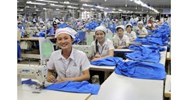 Thông tin đăng ký lao động gồm những nội dung gì?