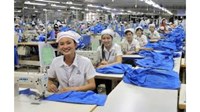 Thông tin đăng ký lao động gồm những nội dung gì?