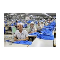 Thông tin đăng ký lao động gồm những nội dung gì?