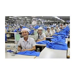 Thông tin đăng ký lao động gồm những nội dung gì?