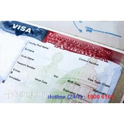 Hỏi về mức phạt và thời gian nộp phạt của nhập cảnh chui?