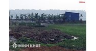Chuyển đổi đất ruộng sang đất vườn như thế nào ? 