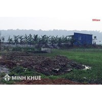 Chuyển đổi đất ruộng sang đất vườn như thế nào ? 