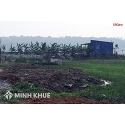 Chuyển đổi đất ruộng sang đất vườn như thế nào ? 