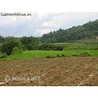 Quyền chuyển nhượng quyền sử dụng đất của hộ gia đình?