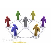 Lập báo cáo tài chính của công ty mẹ và chi nhánh như thế nào ?