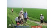 Trách nhiệm của UBND xã khi dồn điền đổi thửa?