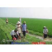 Trách nhiệm của UBND xã khi dồn điền đổi thửa?