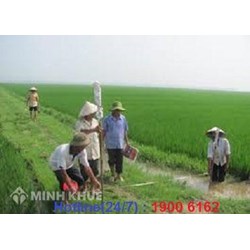 Trách nhiệm của UBND xã khi dồn điền đổi thửa?