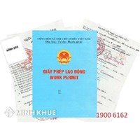 Trường hợp nào phải xin cấp giấy phép lao động ?