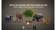 Vận chuyển động vật hoang dã có bị đi tù không? Mức phạt và quy định mới nhất?