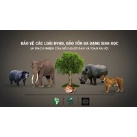 Vận chuyển động vật hoang dã có bị đi tù không? Mức phạt và quy định mới nhất?