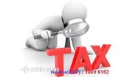 Cửa hàng tạp hóa ở nông thôn phải đóng những thuế gì?