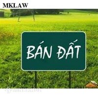 Điều kiện mua đất nông nghiệp là gì? Chưa có sổ đỏ mua được không?