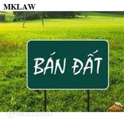 Điều kiện mua đất nông nghiệp là gì? Chưa có sổ đỏ mua được không?
