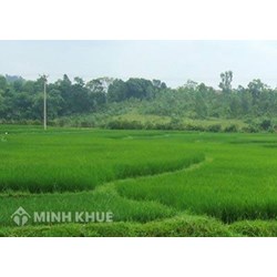 Hạn mức thửa đất nông nghiệp ?