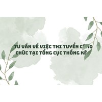 Tư vấn về việc thi tuyển công chức tại Tổng cục thống kê ?