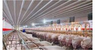 Xây trang trại trên đất nông nghiệp có sao không?