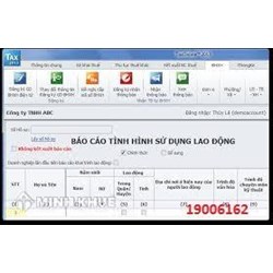 Công ty mới thành lập có bắt buộc phải khai trình lao động không?