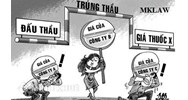 Quy định về đảm bảo tính cạnh tranh trong đấu thầu mua sắm hàng hoá ?
