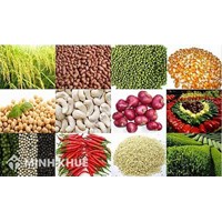 Thuế giá trị gia tăng (GTGT) của hàng thực phẩm là bao nhiêu %?