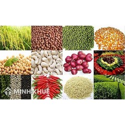 Thuế giá trị gia tăng (GTGT) của hàng thực phẩm là bao nhiêu %?