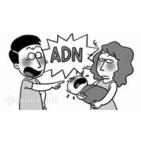 Làm thế nào để xét nghiêm ADN đúng pháp luật ?