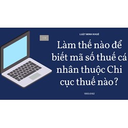 Làm thế nào để biết mã số thuế cá nhân thuộc Chi cục thuế nào?