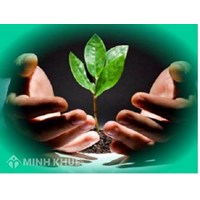 Vướng mắc về Luật Bảo vệ môi trường 2014 ?