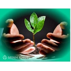 Vướng mắc về Luật Bảo vệ môi trường 2014 ?