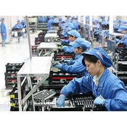 Tư vấn về xử lý kỷ luật và trợ cấp thôi việc ?