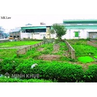 Nộp tiền đối với đất ngoài hạn mức ?