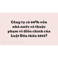 Công ty có 60% vốn nhà nước có thuộc phạm vi điều chỉnh của Luật Đấu thầu 2013 ?