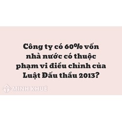 Công ty có 60% vốn nhà nước có thuộc phạm vi điều chỉnh của Luật Đấu thầu 2013 ?