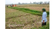 Giải quyết tranh chấp đất đai có mồ mả trên đất như thế nào?