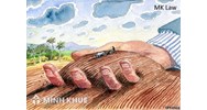 Hướng dẫn thủ tục và quy trình giải quyết di dời mộ?