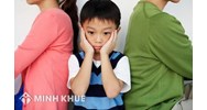 Có được xin ly hôn khi vợ chồng không có mâu thuẫn ? Hồ sơ xin ly hôn cần những gì ?