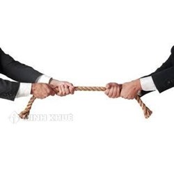Tranh chấp quyền sở hữu chó ?