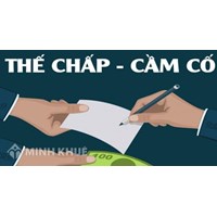 Hướng dẫn chi tiết cách thức soạn thảo Hợp đồng Cầm cố tài sản