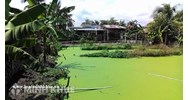 Thủ tục chuyển từ đất ao sang đất ở lâu dài như thế nào ?