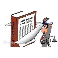 Tư vấn việc người sử dụng lao động đơn phương chấm dứt hợp đồng lao động ?