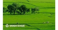 Mua bán, chuyển nhượng nhà đất cần những ai ký trên hợp đồng ?